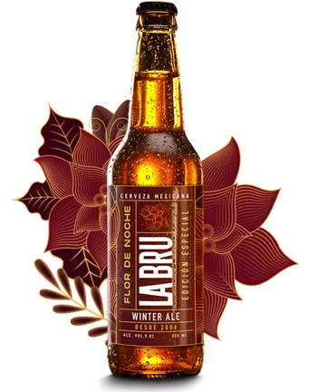 Botella de cerveza