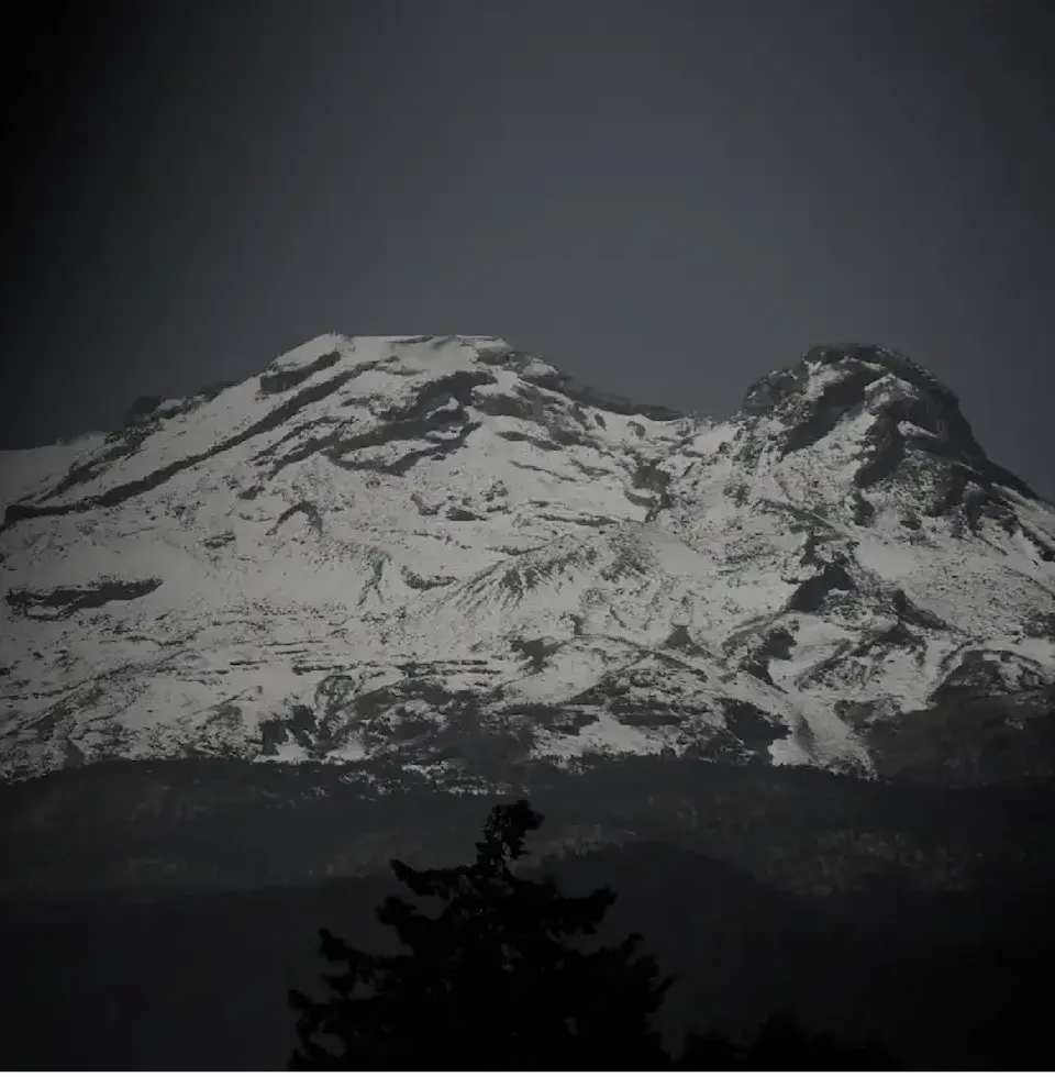 Fondo cerveza